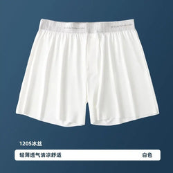 Summer Men's Sheer See Through Shorts Underwears Male Plus Size Casual Sleeping Shorts Apro Pants